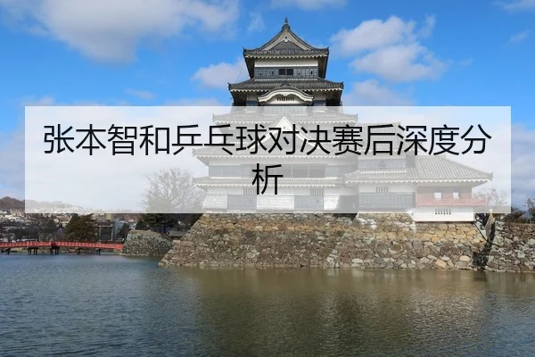 张本智和乒乓球对决赛后深度分析