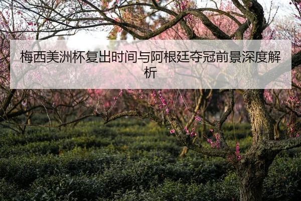 梅西美洲杯复出时间与阿根廷夺冠前景深度解析